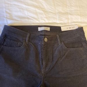 NWT Loft Gray Corduroy Modern Skinny Pants- 8P / 29